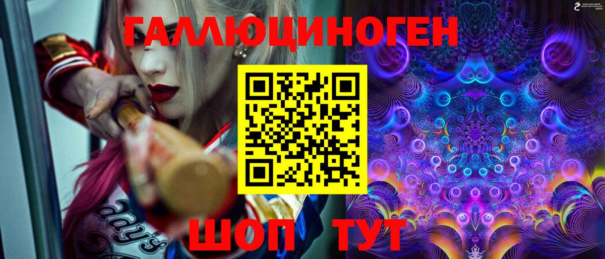 Псилоцибиновые грибы Psilocybe Каменск-Шахтинский