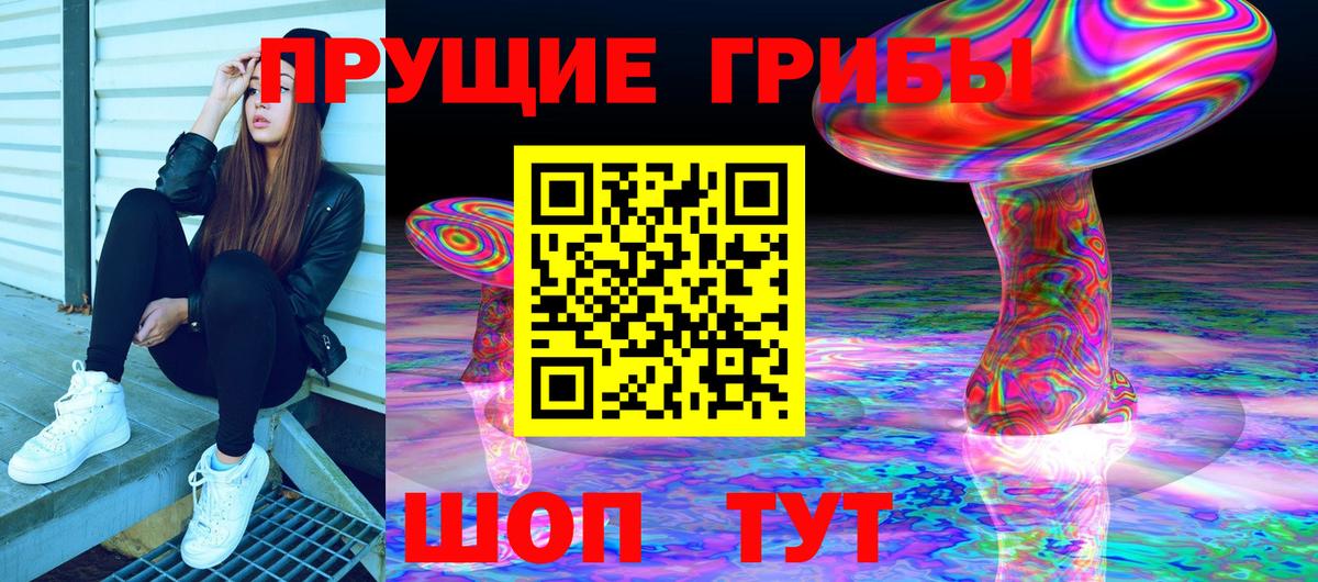 Галлюциногенные грибы GOLDEN TEACHER  Вход с VPN  Каменск-Шахтинский  Псилоцибиновые грибы MAGIC MUSHROOMS 